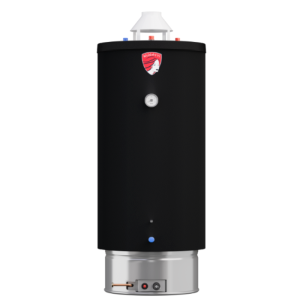 Водонагреватель газовый Federica Bugatti INOX WH120